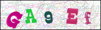 Bestätigung